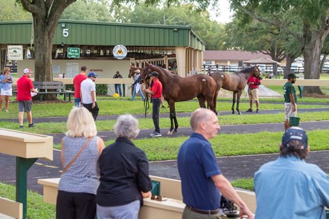 2021 OBS June Two-Year-Olds &amp; Horses of Racing Age Sale Buyers @ OBS. in Ocala    June 9 2021