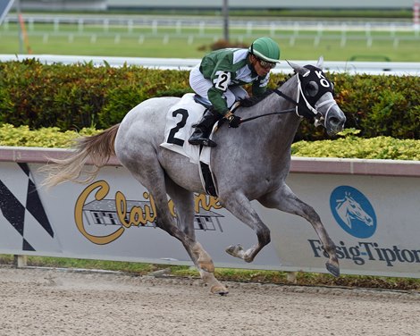 Silver Smile - Maiden Win, Gulfstream Park, June 3, 2021<br>
First winner for Long Island Sound                           