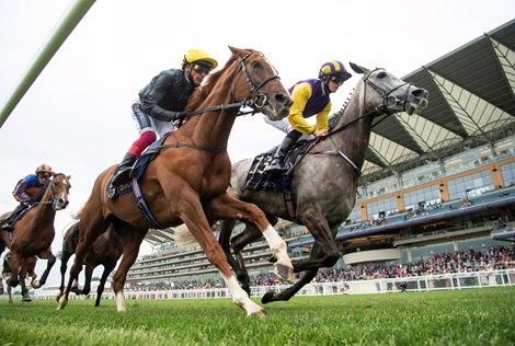 Stradivarius (IRE) and Princess Zoe (GER) (Right) race together during the Gold Cup<br><br />
Ascot 17.6.21 Pic: Edward Whitaker/Racing Post