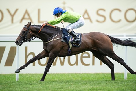 Subjectivist (GB) (Joe Fanning) wins the Gold Cup<br><br />
Ascot 17.6.21 Pic: Edward Whitaker/Racing Post