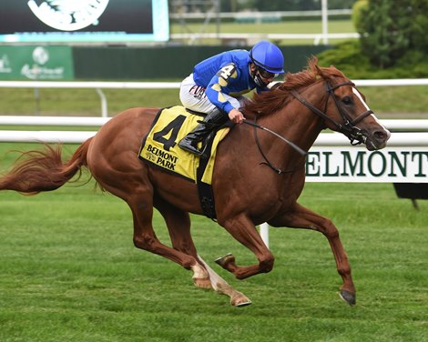 Ocala Dream wins the 2021 NYSSS Spectacular Bid at Belmont Park               