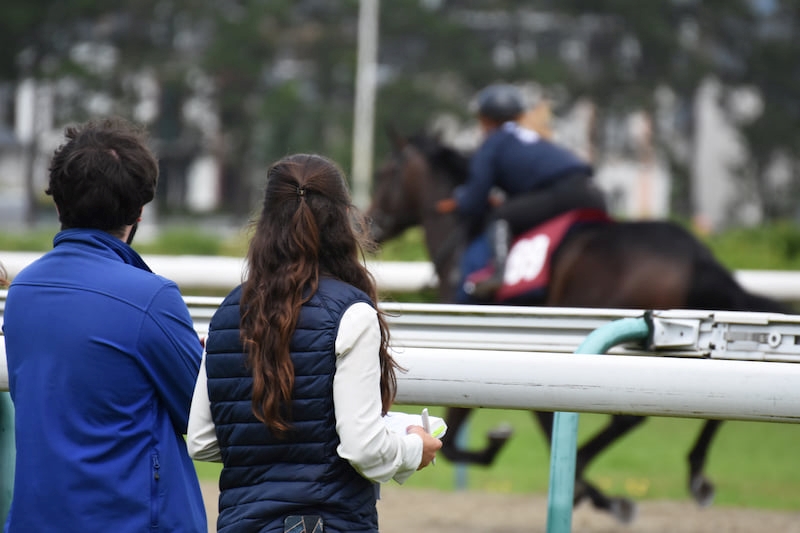 Catalog Now Online for Arqana Summer Sale - BloodHorse