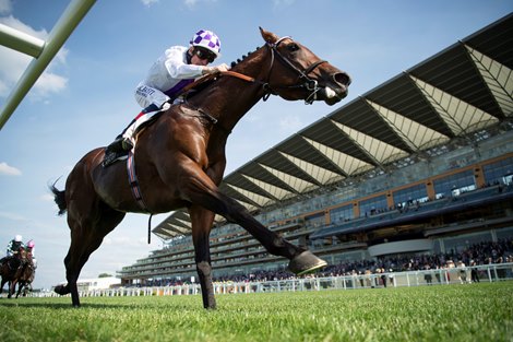Poetic Flare and Kevin Manning win the St James&#39;s Palace Stakes<br><br />
Ascot 15.6.21