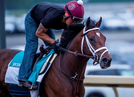Preakness winner Rombauer out for his morning gallop on the main track in preparation for the Belmont Stakes at Belmont Park Friday June 4, 2021 in Elmont, N.Y.