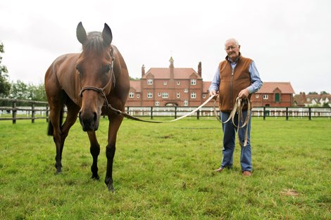 Arabian Queen with David Elsworth in the paddock at Egerton House Stables<br><br />
Newmarket 27.8.15 Pic: Edward Whitaker