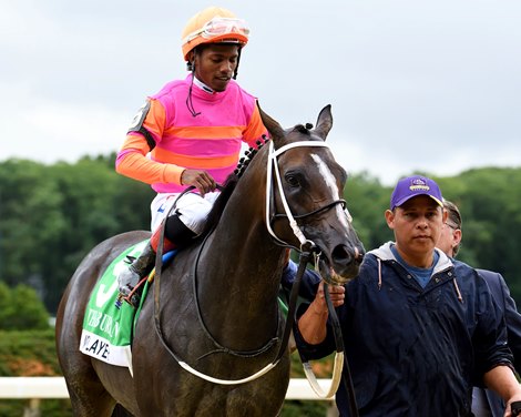 Max Player wins the Suburban at Belmont Park