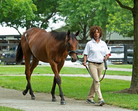 Hip 174 filly by City of Light out of Grand Sofia at Bluewater Sales. <br><br />
Scenes, people and horses at The July Sale at Fasig-Tipton near Lexington, Ky. on July 10, 2021. 