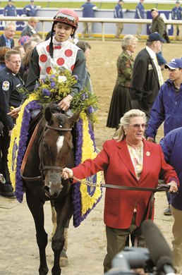 MILE, Owner Charlotte Weber walks in MIesque's Approval with Eddie Castro<br>
Breeders' Cup day on November 4, 2006, at Churchill Downs in Louisville, Ky.