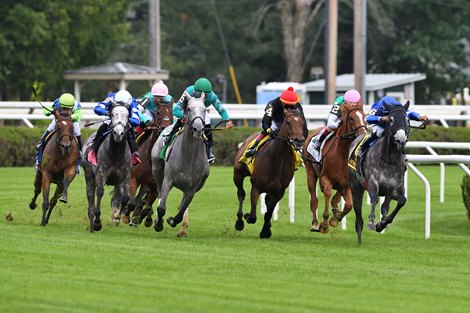 Althiqa wins the 2021 Diana Stakes at Saratoga
