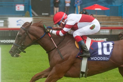 Jockey Luis Contreras guides Jolie Olimpica (BRZ) to victory in the (Grade II) Nassau Stakes for owner Fox Hill Farm and hall of fame trainer Josie Carroll in the 1 mile race over the E.P.Taylor turf course. Woodbine/ Michael Burns Photo