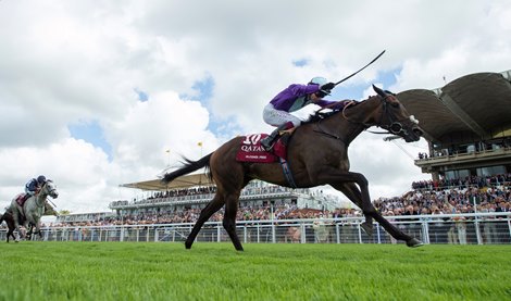 Alcohol Free (Oisin Murphy) win the Sussex Stakes Glorious Goodwood 28.7.21