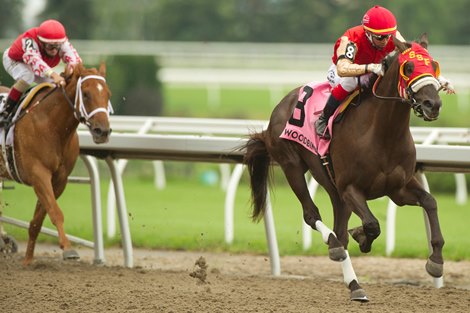 Jockey Luis Contreras guides Tio Magico to victory in the $125,000 dollar Queenston Stakes for owner Sam-Son Farm and trainer Gail Cox. Woodbine/ Michael Burns Photo