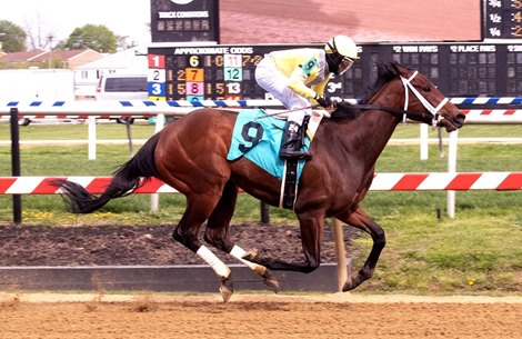 Edie Meeny Miny Mo - Maiden Win, Pimlico, April 23, 2021