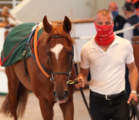 Lot 571 Albert Camus (GB) 2018 Ch.C.  BY Teofilo (IRE) EX Petite Nymphe (GB)        The Castlebridge Consignment    Duleek Street Racing    115,000   <br><br />
Tattersalls July Sale<br><br />
08/07/21<br><br />
