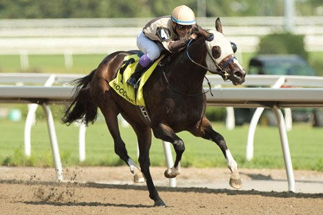 Toronto Ont. July 1, 2021.Woodbine Racetrack.<br><br />
Mighty Heart captures the $150,000 dollar Dominion Day Stakes at Woodbine Racetrack.<br><br />
Owned by Larry Cordes and trained by hall of fame trainer Josie Carroll, (groom Victor James), Jockey Daisuke Fukumoto. Mighty Heart covered the 1Mi.1/16 in 1.43.1
