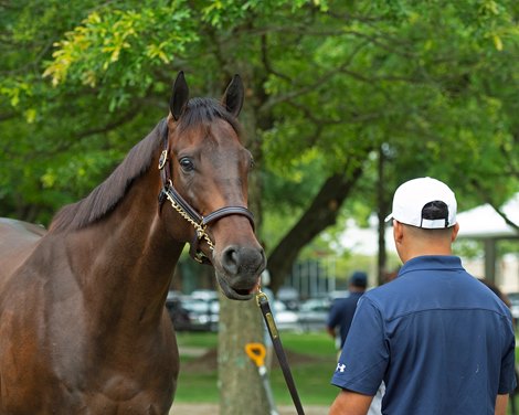 Hip 642 Fearless at Elite Sales.<br><br />
Scenes, people and horses at The July Sale at Fasig-Tipton near Lexington, Ky. on July 10, 2021. 