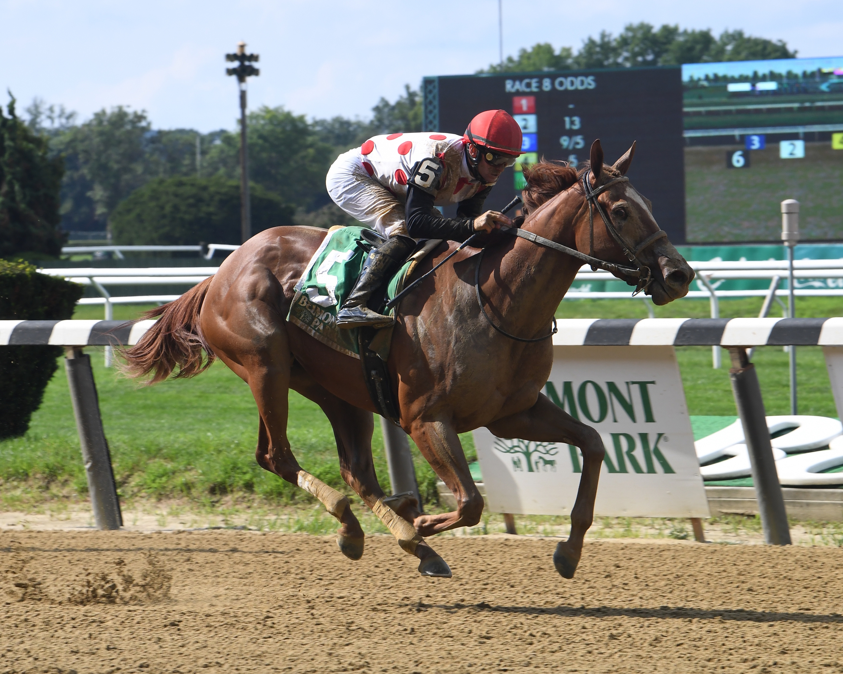 Baffert s Illumination Meets Acorn Top Three in Test BloodHorse