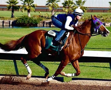 Anna Meah aboard California Chrome
