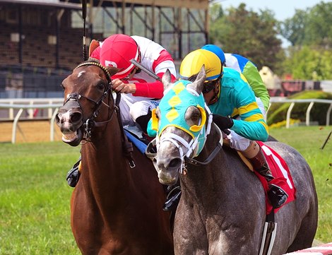 Field Pass wins 2021 Baltimore/Washington International Turf Cup Stakes at Pimlico