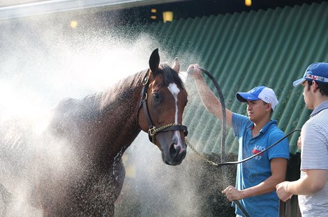 Haskell contender Mandaloun gets a morning bath from groom Darwin Aguilar with Assistant Trainer Blake Cox (R) after breezing on Saturday morning July 10, 2021 as he prepares for next Saturday&#39;s (7/17) $1,000,000 Grade 1 TVG.com Haskell Stakes at Monmouth Park Racetrack in Oceanport, NJ. 