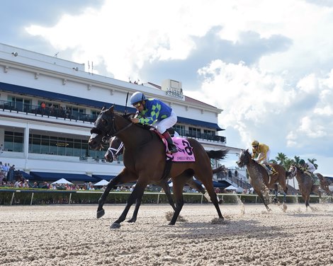 Miles Ahead wins the 2021 Smile Sprint Invitational Stakes at Gulfstream Park