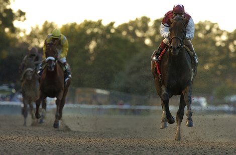 Bernardini with jockey Javier Castellano wins the 88th running of the Jockey Club Gold Cup at Belmont Park in Elmont, New York today October 7, 2006.