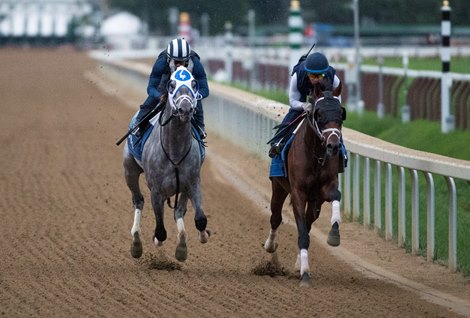 Essential Quality worked on the main track under jockey Luis Saez in company with Bingo John and jockey Manny Franco at the Saratoga Race Course  Saturday July 17, 2021 in Saratoga Springs, N.Y. in preparation for the $600,000 Jim Dandy which will be contested on July 31