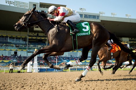 Jockey Gary Boulanger guides Lorena to victory in the $125,000 dollar Fury Stakes.Lorena covered the 7 Furl in 1.23.4 for trainer Stuart Simon.Woodbine/ Michael Burns Photo
