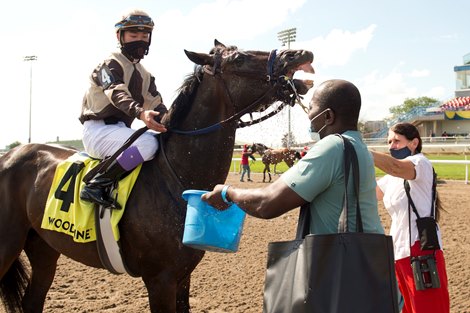 Toronto Ont. July 1, 2021.Woodbine Racetrack.<br>
Mighty Heart captures the $150,000 dollar Dominion Day Stakes at Woodbine Racetrack.<br>
Owned by Larry Cordes and trained by hall of fame trainer Josie Carroll, (groom Victor James), Jockey Daisuke Fukumoto. Mighty Heart covered the 1Mi.1/16 in 1.43.1