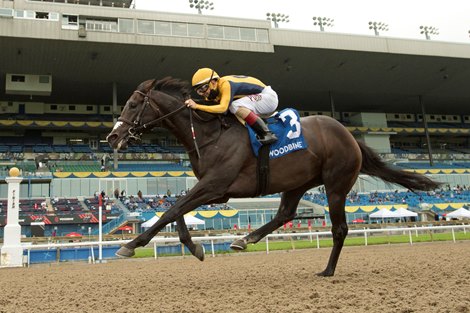 Jockey Rafael Hernandez guides Easy Time to victory in the (Grade III)  $150,000 dollar Marine Stakes at Woodbine Racetrack.Easy Time covered the 1Mi.1/16 furl in 1.43.3 for owner Breeze Easy LLC and hall of fame trainer Mark Casse. Woodbine/ Michael Burns Photo