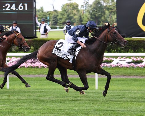 Bolshoi Ballet wins the 2021 Belmont Derby Invitational Stakes at Belmont Park