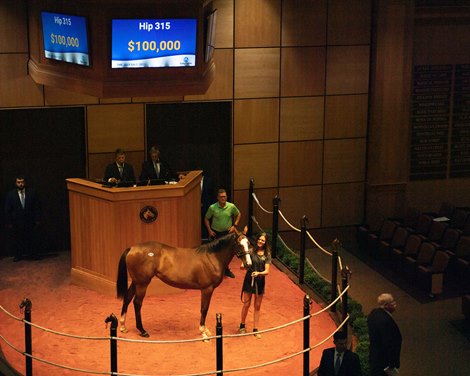 Layne Brogden with Hip 315 filly by Sharp Azteca out of Triple Cream at Machmer Hall Sales<br>
Scenes, people and horses at The July Sale at Fasig-Tipton near Lexington, Ky. on July 13, 2021. 