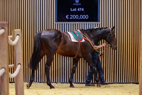 2021 Arqana Summer Sale, Lot 474
