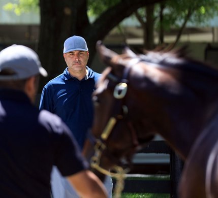 Nick Sallusto, 2019 Fasig-Tipton July Sale and Horses of Racing Age Sale