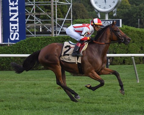 Technical Analysis wins the 2021 Lake Placid at Saratoga