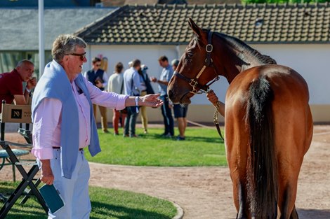 2021 Arqana August Sale