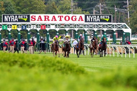 Wilton Stakes Marks Reopening of Spa's Wilson Chute - BloodHorse