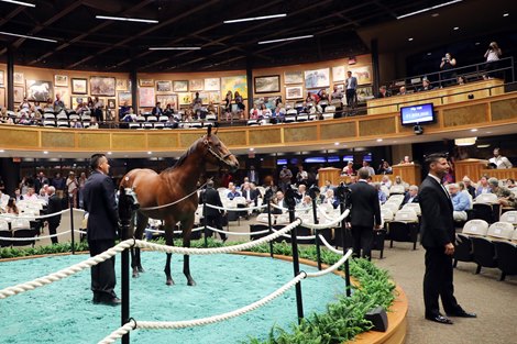 Hip 168, 2021 Fasig-Tipton Saratoga Selected Yearling Sale