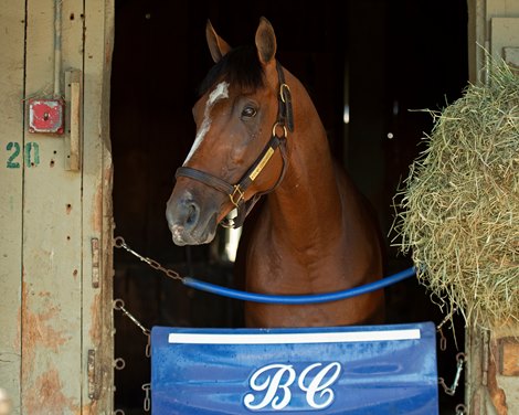 By My Standards<br><br />
Saratoga racing scenes in Saratoga Springs, N.Y. on Aug. 5, 2021. 