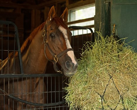 Whitmore<br><br />
Saratoga racing scenes in Saratoga Springs, N.Y. on Aug. 5, 2021. 