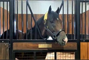 Omaha Beach at Spendthrift Australia