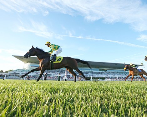 Another Mystery wins 2021 Black Tie Affair Stakes at Arlington Park