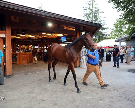 Hip 314, 2021 Fasig-Tipton New York Bred Yearling Sale