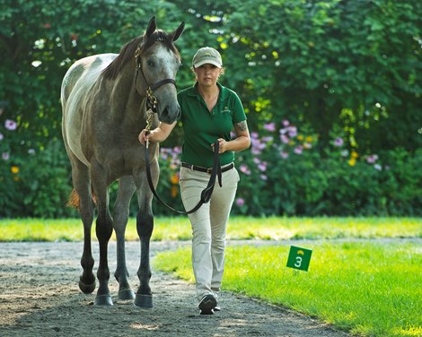 Hip 92 Failsafe colt by Tapit out of Feathered at Lane’s End<br><br />
Saratoga sales scenes at Fasig-Tipton in Saratoga Springs, N.Y. on Aug. 7, 2021. 