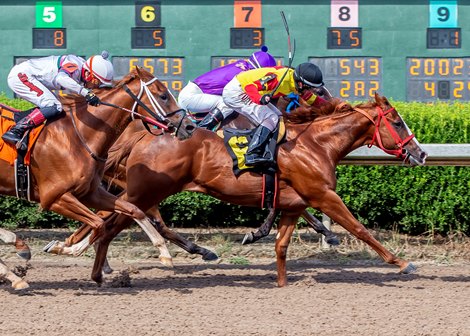 Jockey Joe Stokes guides True Deal to victory in the11th running of the Louisiana Cup Juvenile at Louisiana Downs. Hodges Photography / Ann Switalski
