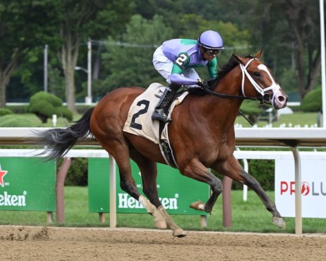 Gunite, Wit Square Off Again in Champagne Stakes - BloodHorse