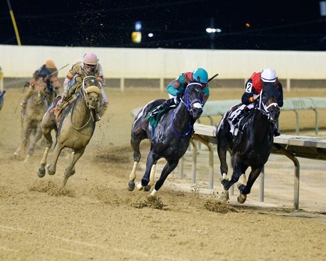Lady Rocket wins the 2021 Misty Bennett Pink Ribbon Stakes at Charles Town