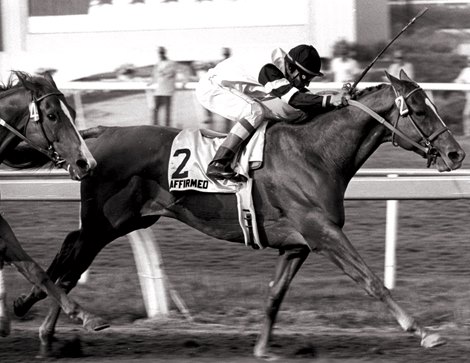 Affirmed wins the 1979 Hollywood Gold Cup