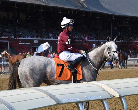 Wicked Halo wins the Adirondack Stakes Sunday, August 8, 2021 at Saratoga