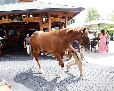 Hip 419, 2021 Fasig-Tipton New York Bred Yearling Sale